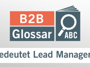 Was bedeutet Lead Management?