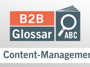 Glossarbeitrag - Was ist ein Content-Management-System?