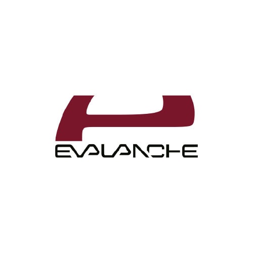 TIK-Partner Logo Evalanche