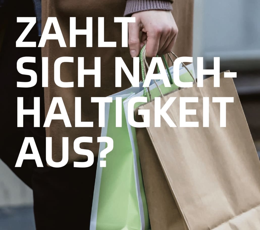 Corporate Sustainability Score