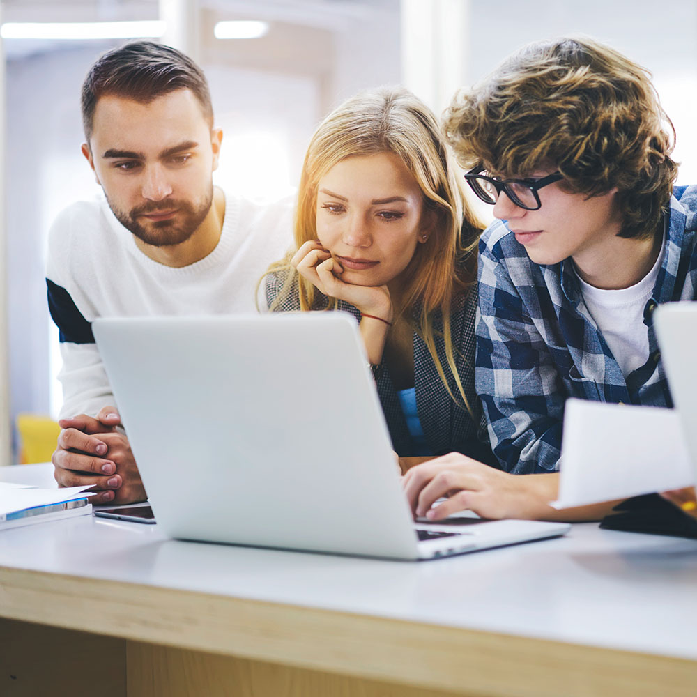 bvik-Contentportal-Whitepaper