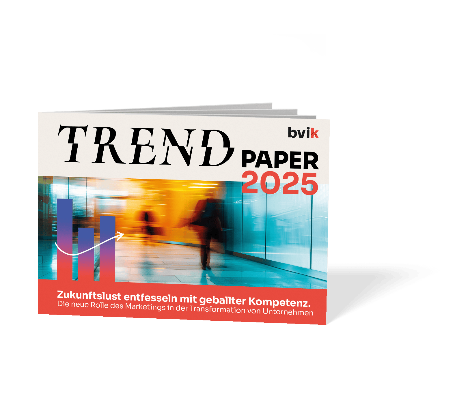 bvik Trendpaper 2025