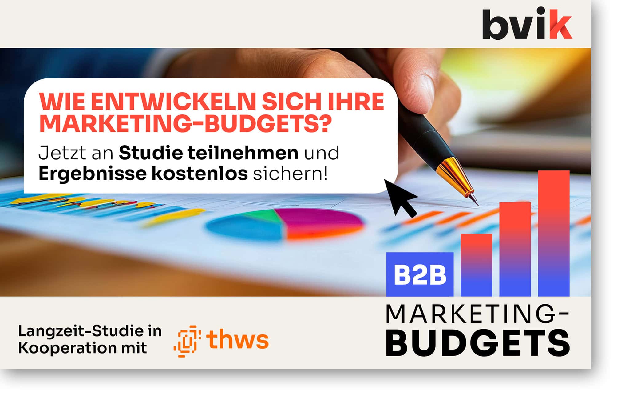 bvik Budget-Studie Key Visual