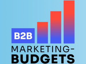 Grafik B2B-Marketing-Budgets
